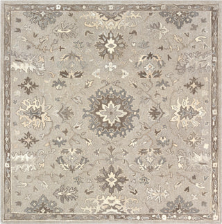 Surya Caesar CAE-1197 Area Rug 