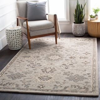 Surya Caesar CAE-1197 Area Rug Room Scene