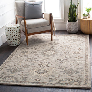 Surya Caesar CAE-1197 Area Rug Room Scene Feature