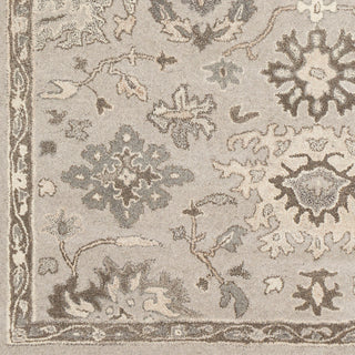 Surya Caesar CAE-1197 Area Rug Swatch