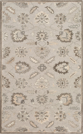 Surya Caesar CAE-1198 Area Rug main image