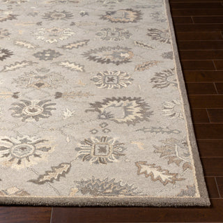 Surya Caesar CAE-1198 Area Rug 