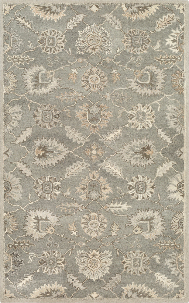 Surya Caesar CAE-1199 Area Rug main image