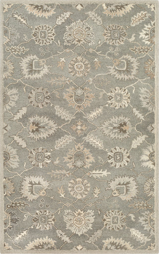 Surya Caesar CAE-1199 Area Rug main image