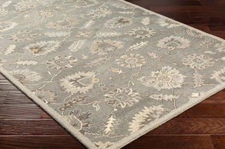 Surya Caesar CAE-1199 Area Rug Corner Shot