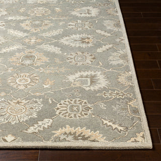 Surya Caesar CAE-1199 Area Rug 