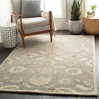 Surya Caesar CAE-1199 Area Rug Room Scene Feature