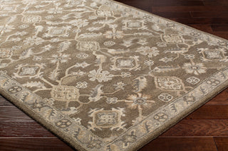 Surya Caesar CAE-1200 Area Rug Corner Shot