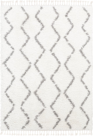 Surya California Shag CAF-2302 Area Rug