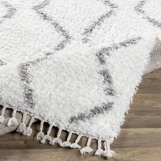 Surya California Shag CAF-2302 Area Rug