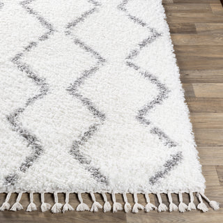 Surya California Shag CAF-2302 Area Rug