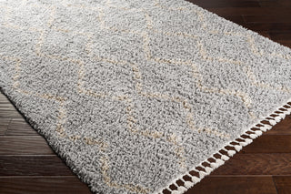 Surya California Shag CAF-2303 Area Rug