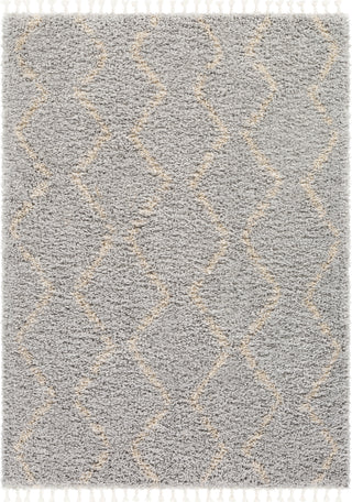 Surya California Shag CAF-2303 Area Rug