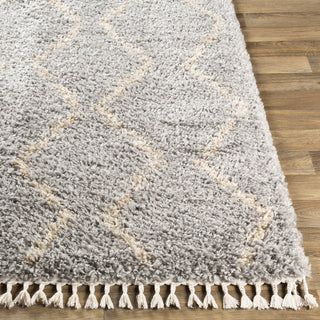 Surya California Shag CAF-2303 Area Rug