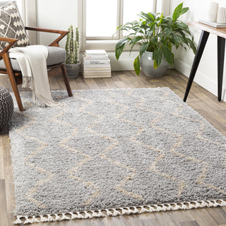 Surya California Shag CAF-2303 Area Rug by Artistic Weavers Room Scene Feature