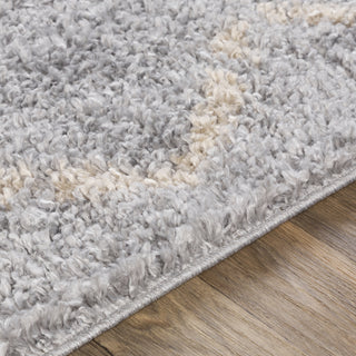 Surya California Shag CAF-2303 Area Rug