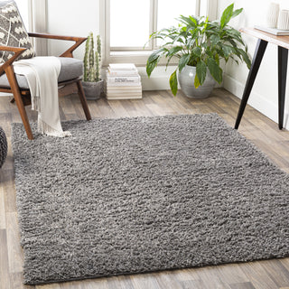 Surya California Shag CAF-2305 Area Rug by Artistic Weavers Room Scene Feature