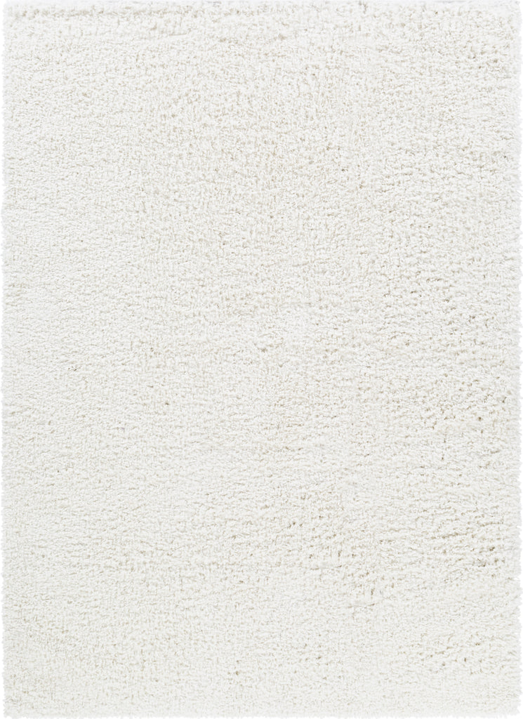 Livabliss California Shag CAF-2306 Area Rug