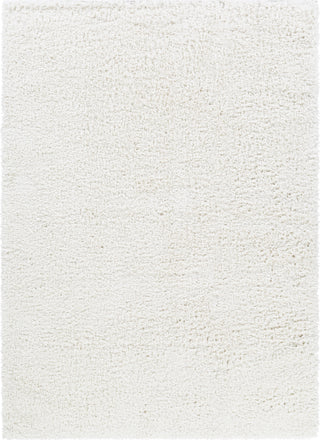 Livabliss California Shag CAF-2306 Area Rug