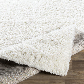 Livabliss California Shag CAF-2306 Area Rug