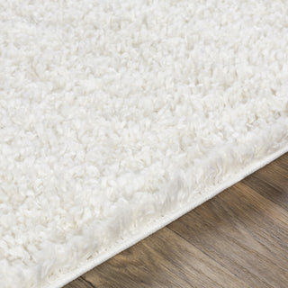 Livabliss California Shag CAF-2306 Area Rug