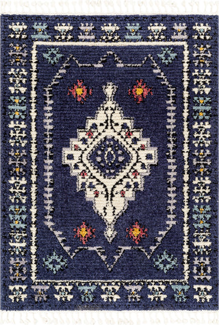 Surya Casablanca Shag CAG-2302 Area Rug Main Image 