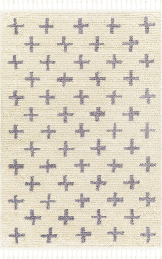 Surya Casablanca Shag CAG-2305 Area Rug Main Image 5'3"x7'