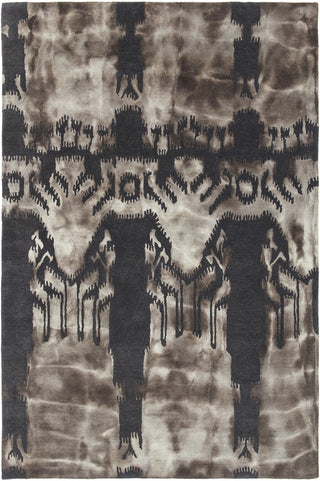 Chandra Cailin CAI-42002 Charcoal/Beige Area Rug main image