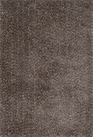 Loloi Callie Shag CJ-01 Dark Brown / Multi Area Rug main image