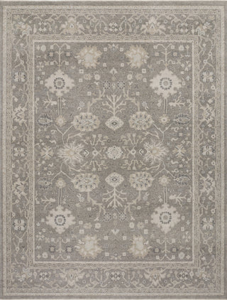 Loloi Cambridge CAM-02 Silver/Silver Area Rug main image