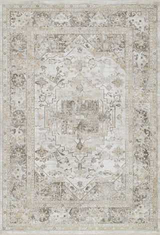 Momeni Cambridge CMB-2 Taupe Area Rug main image