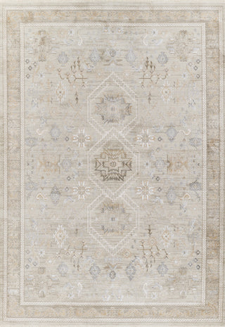 Momeni Cambridge CMB-3 Grey Area Rug main image