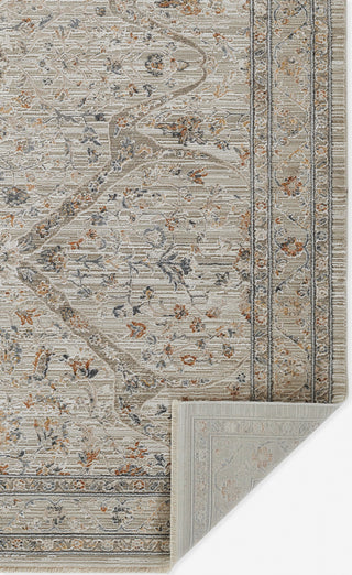 Momeni Cambridge CMB-5 Cream Area Rug Close up