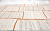 NuStory Bovina Camp Chairs Neutral Area Rug by Newell Turner 