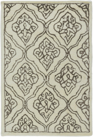 Surya Modern Classics CAN-1913 Beige Area Rug by Candice Olson 2' x 3'