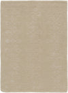 Surya Modern Classics CAN-1916 Taupe Area Rug by Candice Olson 2' x 3'