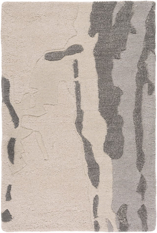 Surya Modern Classics CAN-1994 Beige Area Rug by Candice Olson 2' x 3'