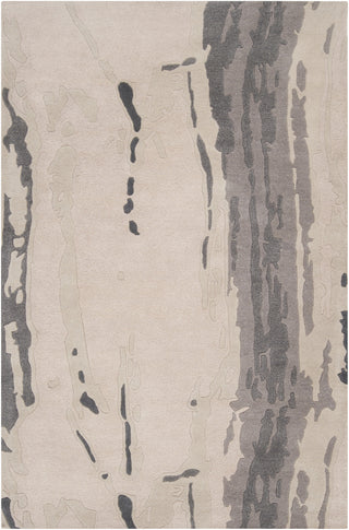 Surya Modern Classics CAN-1994 Beige Area Rug by Candice Olson 5' x 8'