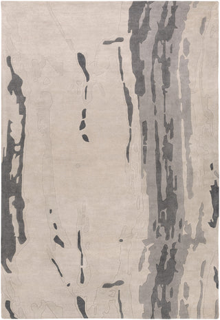 Surya Modern Classics CAN-1994 Beige Area Rug by Candice Olson 9' x 13'