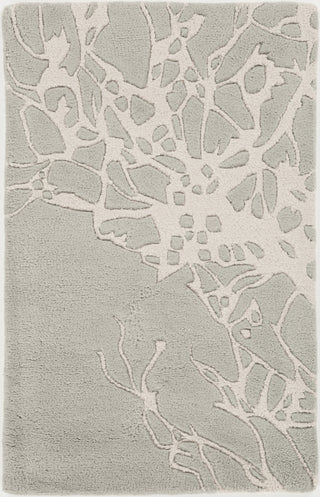 Surya Modern Classics CAN-2006 Slate Area Rug by Candice Olson 2' x 3'