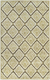 Surya Modern Classics CAN-2014 Ivory Area Rug by Candice Olson 5' x 8'