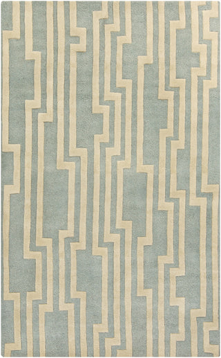 Surya Modern Classics CAN-2022 Light Gray Area Rug by Candice Olson 5' x 8'