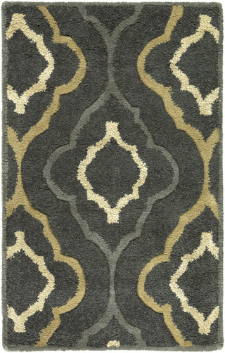 Surya Modern Classics CAN-2025 Area Rug by Candice Olson