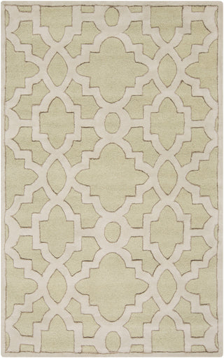 Surya Modern Classics CAN-2038 Sea Foam Area Rug by Candice Olson 5' x 8'