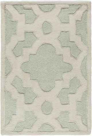 Surya Modern Classics CAN-2039 Sea Foam Area Rug by Candice Olson 2' x 3'