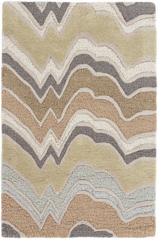 Surya Modern Classics CAN-2042 Mocha Area Rug by Candice Olson 2' x 3'