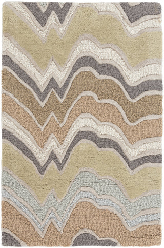 Surya Modern Classics CAN-2042 Area Rug by Candice Olson 2' X 3'