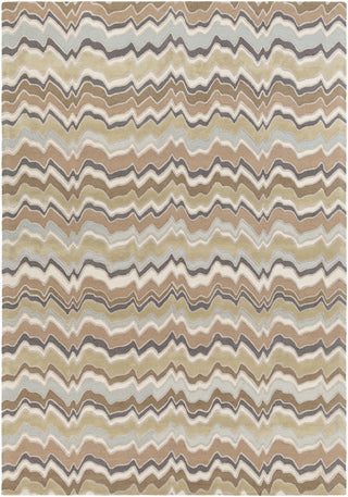 Surya Modern Classics CAN-2042 Mocha Area Rug by Candice Olson 9' x 13'