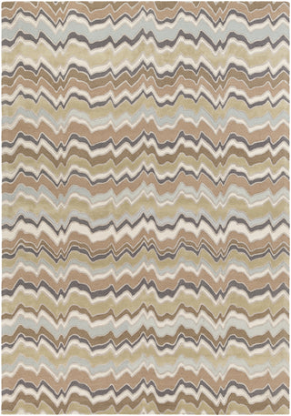 Surya Modern Classics CAN-2042 Area Rug by Candice Olson 9' X 13'