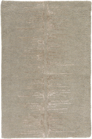 Surya Modern Classics CAN-2071 Area Rug by Candice Olson 2' x 3'